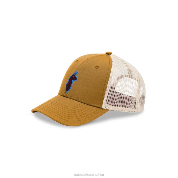 Cotopaxi Unisex Amber The Llama Trucker Hat Accessories 668D184